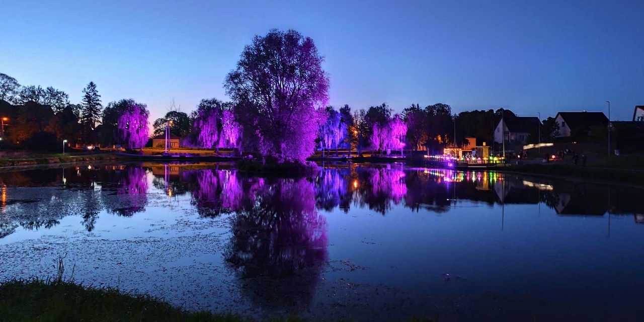 Koncert na molo. Adam Szabat